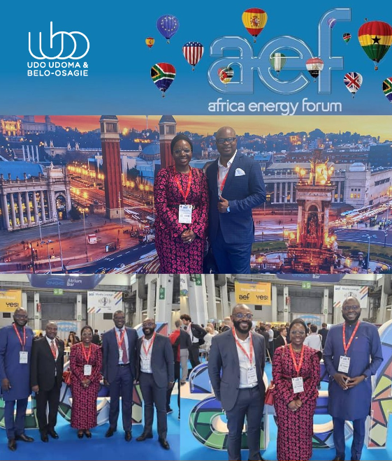 Nicholas Okafor and Adeola Sunmola Participate in Africa Energy Forum (AEF) 2024